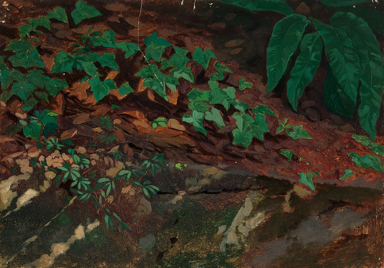Studio di foglie - Finnish National Gallery